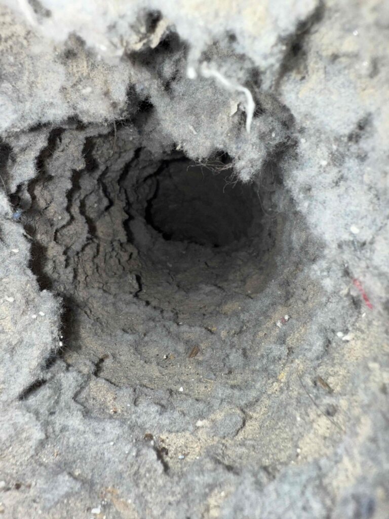 Dryer Vent Cleaning